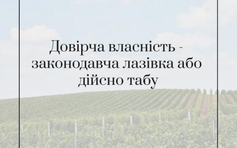 Довірча власність - законодавча лазівка або дійсно табу