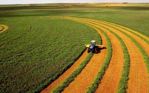Максимальне спрощення: які ризики несе новий закон про землю в умовах війни
