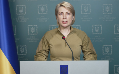 Примусово депортованих українців впускатимуть в Україну без паспорта - Верещук