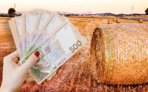 Топ-5 регіонів України, де найдорожча вартість землі