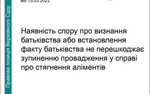 Наявність спору про визнання або встановлення факту батьківства не перешкоджає зупиненню провадження у справі про стягнення аліментів