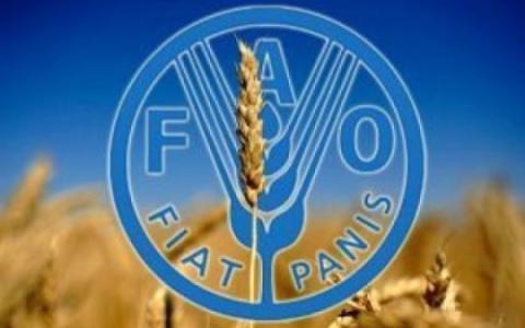 В Україні відкриють офіс Продовольчої організації ООН
