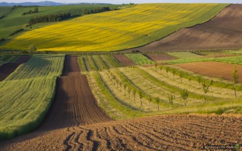 Скільки землі продали в Україні з початку повномасштабної війни?
