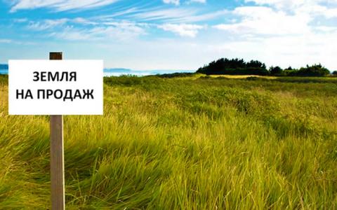 За період війни в Україні укладено 34 тис. земельних угод, - Мінагрополітики