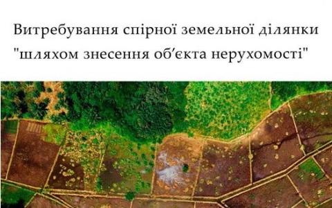 Витребування спірної земельної ділянки "шляхом знесення об'єкта нерухомості"