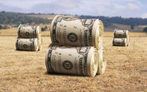 Переселенці можуть отримати до $1,5 тис. на відновлення свого агробізнесу