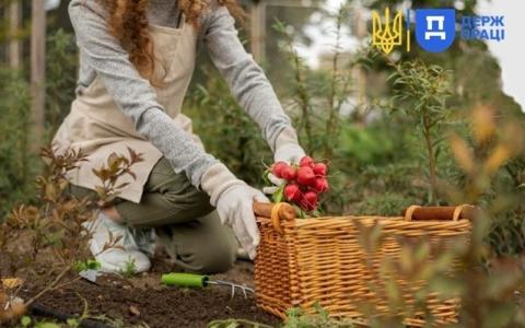 Правове регулювання роботи сезонних працівників
