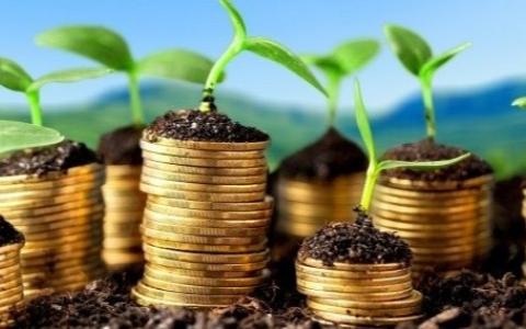 Звільнення від нарахування та сплати за землю у 2022 та 2023 роках