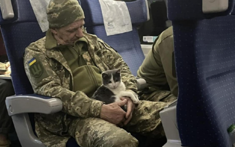 В Укрзалізниці нагадали алгоритм придбання квитків військовими та відкрили для них гарячу лінію