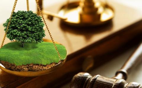 Способи судового захисту права на земельну ділянку