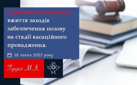 Вжиття заходів забезпечення позову на стадії касаційного провадження