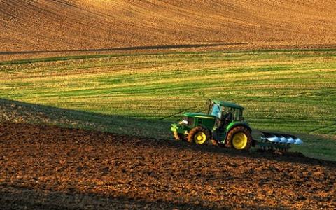 Коли член фермерського господарства має право на земельну ділянку із земель господарства