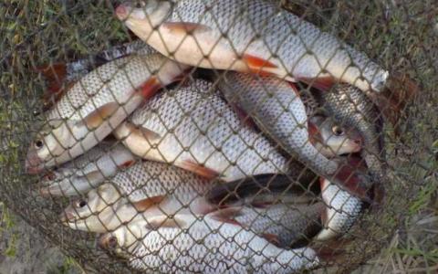 До уваги рибалок! В Україні почали діяти нові такси за браконьєрство