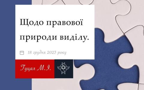 Щодо правової природи виділу