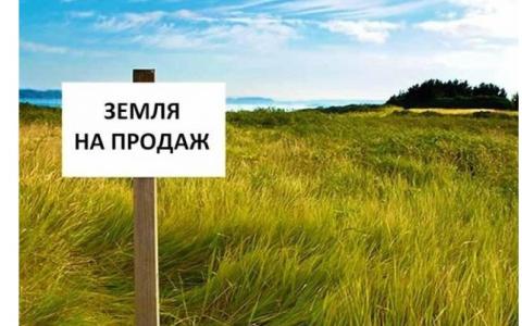 Розпочався другий етап аграрної реформи: що відбувається на ринку землі і від чого залежить вартість гектару?