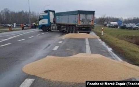Дії польських фермерів з українським зерном – свідома провокація третьої країни, - експерт