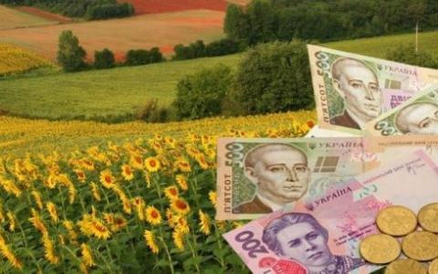 За які ділянки землі не потрібно сплачувати земельний податок - роз'яснення