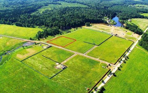 Спрощено процедури встановлення та зміни цільового призначення деяких земельних ділянок за межами населених пунктів: деталі