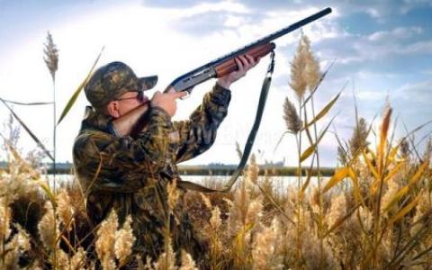 Кодекс українського мисливця: Всеукраїнська асоціація мисливців та користувачів мисливських угідь повідомила про розробку документу