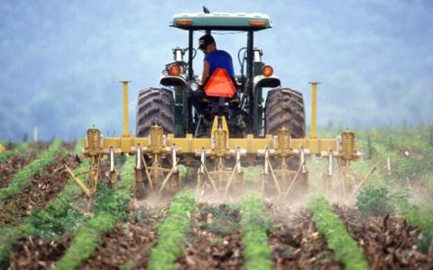 Стають на місце чоловіків: на ринку праці в Україні значно переважають жінки, - спеціаліст