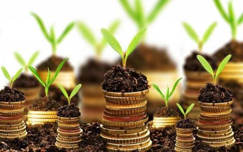 Реалізація переважного права на укладення договору оренди землі