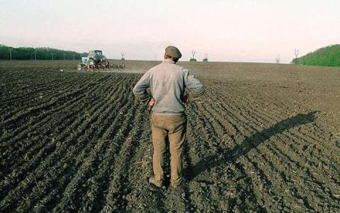 В Україні продовжать кінцевий термін реєстрації земельних паїв до 2028 року