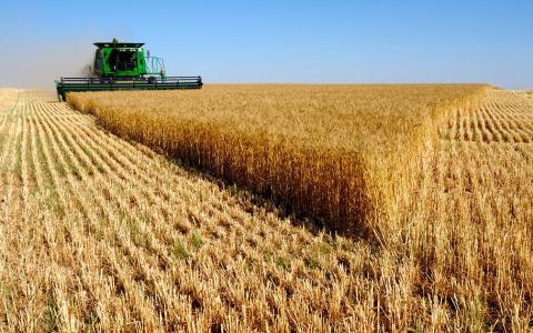 Як вплине скасування Господарського кодексу на агросектор країни