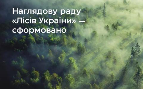 Уряд сформував наглядову раду Держкомпанії «Ліси України»: хто туди увійшов?