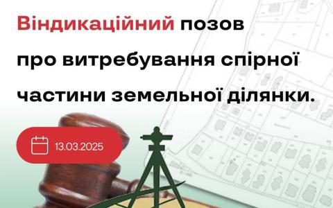 Віндикаційний позов про витребування спірної частини земельної ділянки