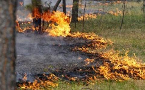 У Міндовкіллі нагадали, чому не можна спалювати сухе листя і траву і яка можлива відповідальність за такі дії