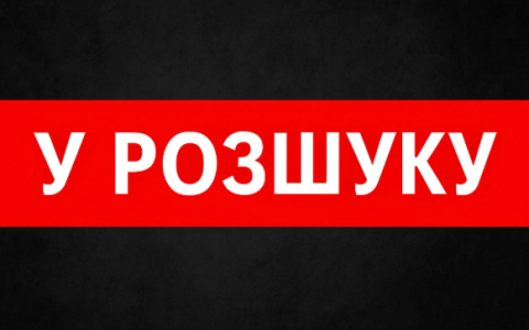 Як дізнатися чи людина в розшуку ТЦК та що робити у разі виявлення статусу