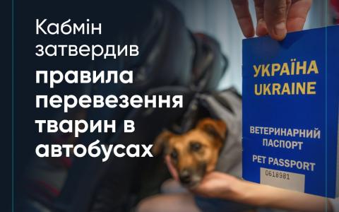 В Україні затверджено офіційні правила перевезення тварин у автобусах - деталі