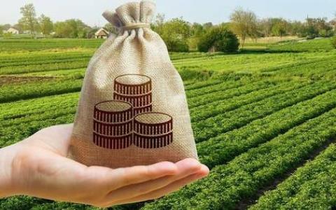 Пільги зі сплати податків та зборів за землі на яких ведуться (велися) бойові дії або тимчасово окупованих РФ