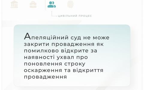 Можливість застосування апеляційним судом процесуальних наслідків у виді закриття провадження, як помилково відкритого
