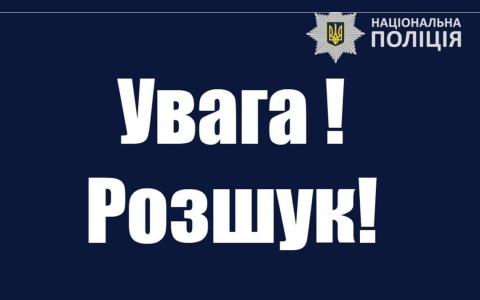 В Україна оголосили Міндіча та Цукермана в розшук