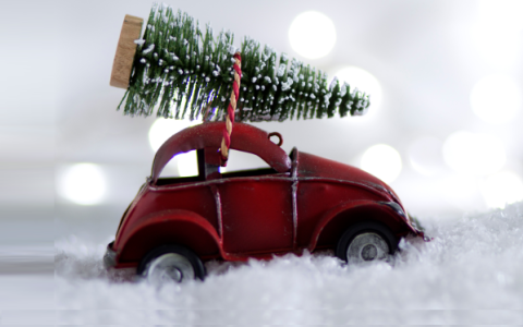 Ялинка на новорічні свята: яка відповідальність за незаконний зруб