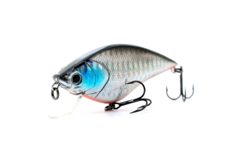 Как привлечь хищную рыбу, имитируя её естественную добычу?