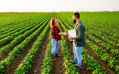 Як в Україні переукласти договір оренди землі: детальне роз'яснення
