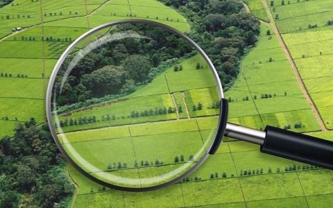 Право власності на землю: що може стати перешкодою в повноцінній реалізації такого права