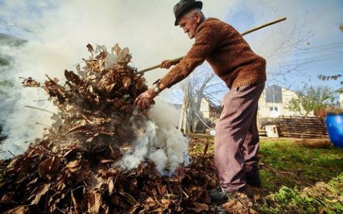 Спалювання сухої рослинності та листя: яке передбачене покарання для порушників
