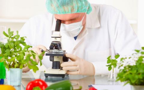 Уряд запускає цифрову систему послуг у сфері безпечності харчових продуктів: деталі