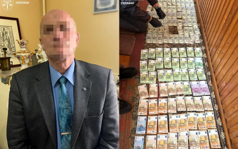 На Закарпатті затримано голову ВЛК із мільйонами готівки - ОГП