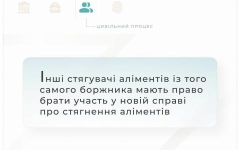 Інші стягувачі аліментів із того самого боржника мають право брати участь у новій справі про стягнення аліментів