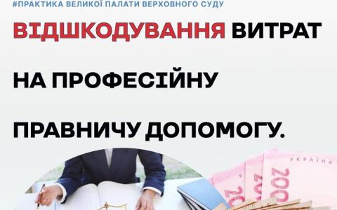 Відшкодування витрат на професійну правничу допомогу