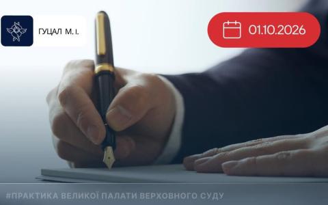 Право державного/приватного виконавця на звернення до суду із позовом