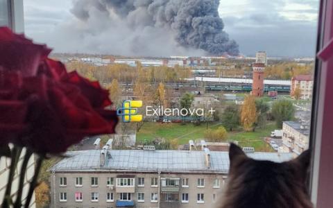 Масштабна атака дронів на Санкт-Петербург та Ленінградську область: уражено нафтовий термінал, OZON, міст і дата-центр